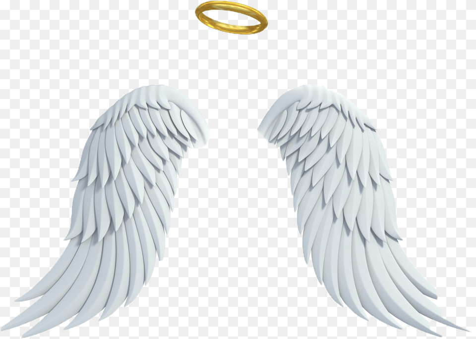 Realistic Angel Wings And Halo, Accessories, Animal, Bird, Jewelry Png