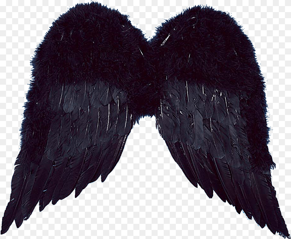 Realistic Angel Wings For Kids Sayap Untuk Editor, Animal, Bird, Clothing, Fur Free Png