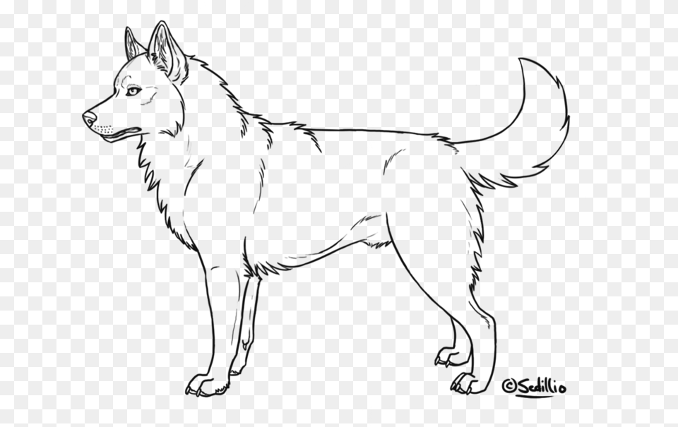 Realistic Clip Art Library Husky Coloring Page, Silhouette, Animal, Mammal, Person Png