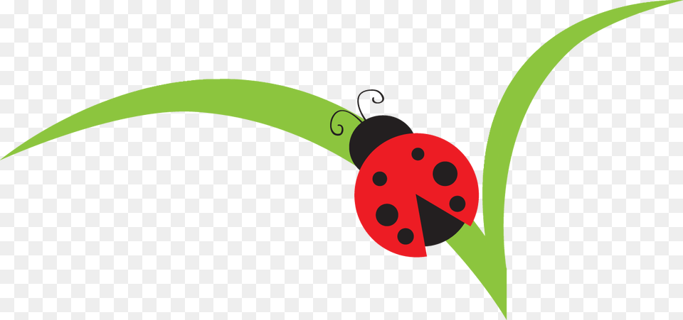 Realistic Clipart Bug, Leaf, Plant, Berry, Food Free Png Download