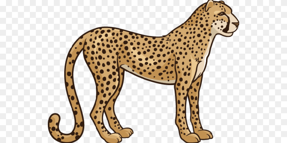 Realistic Clipart Cheetah, Animal, Mammal, Wildlife Free Png Download