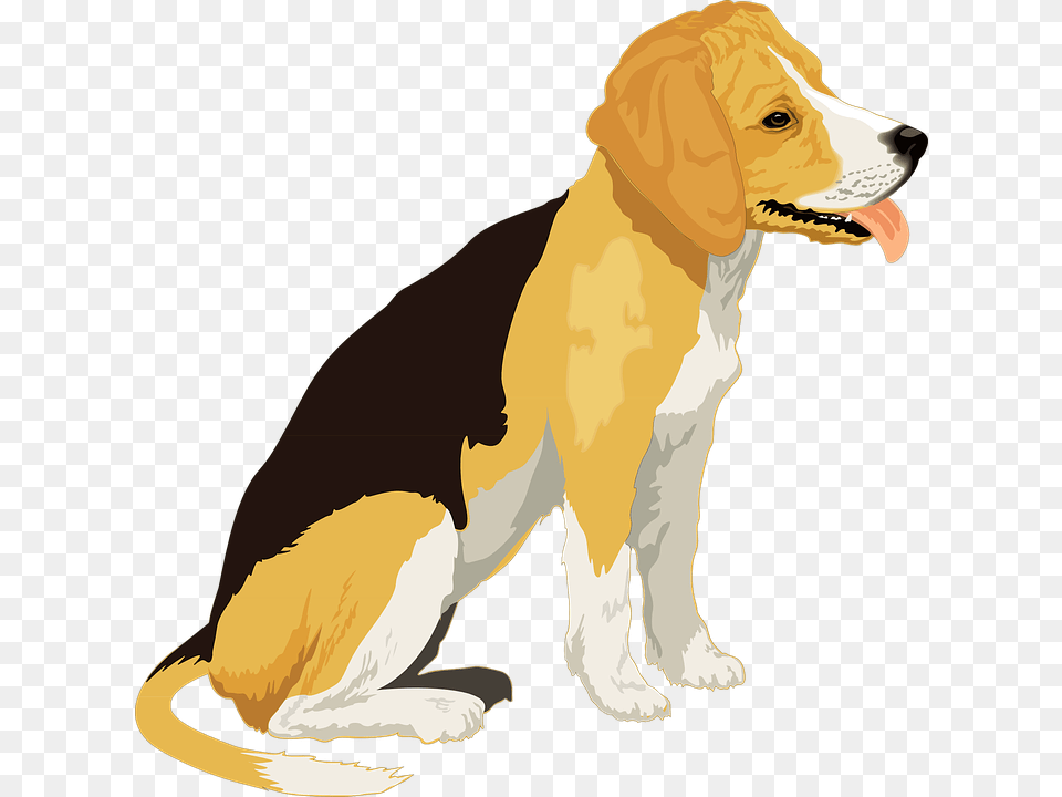 Realistic Clipart Dog, Animal, Canine, Hound, Mammal Free Png