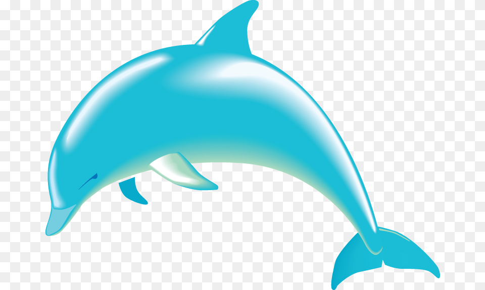 Realistic Clipart Dolphin, Animal, Mammal, Sea Life, Fish Png Image