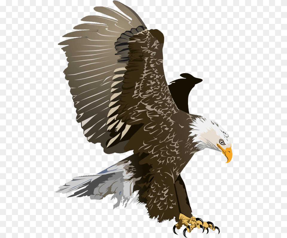 Realistic Clipart Eagle Clip Art Bald Eagle, Animal, Bird, Bald Eagle Free Png