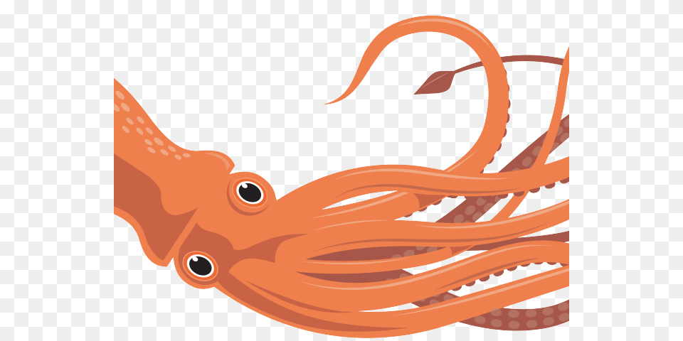 Realistic Clipart Squid, Animal, Sea Life, Food, Seafood Free Png