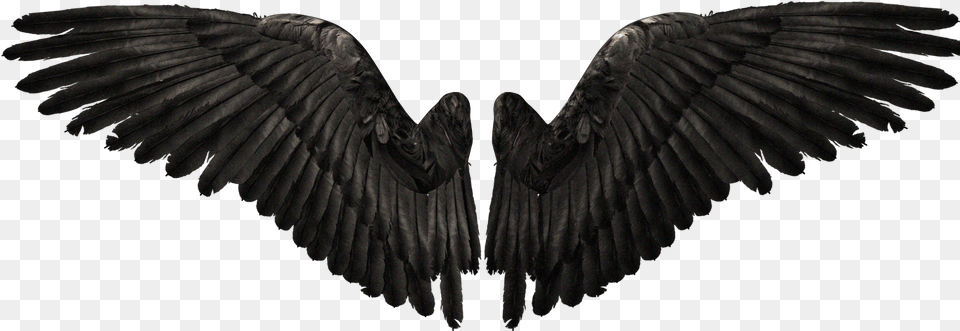 Realistic Demon Wings, Animal, Bird, Vulture Free Transparent Png