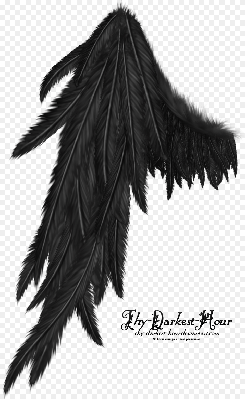 Realistic Demon Wings Dark Angel Wings, Leaf, Plant, Animal, Bird Png