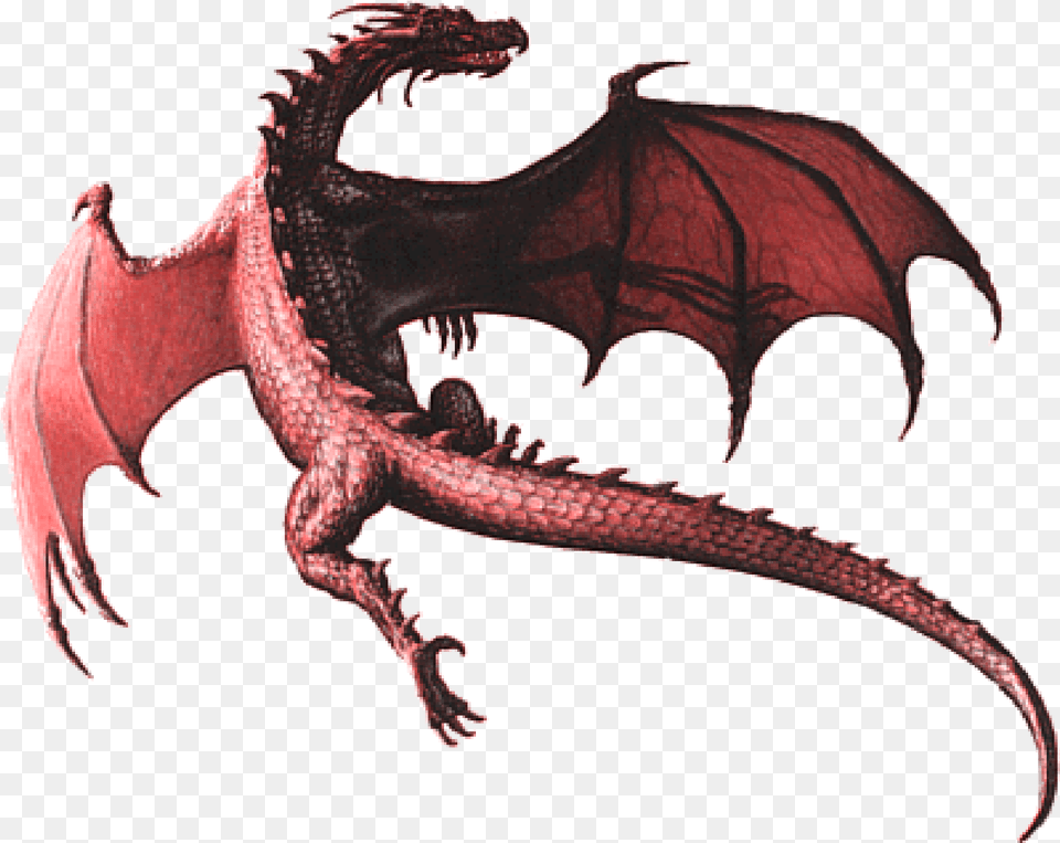 Realistic Dragon Background Real Dragon, Animal, Dinosaur, Reptile Free Transparent Png