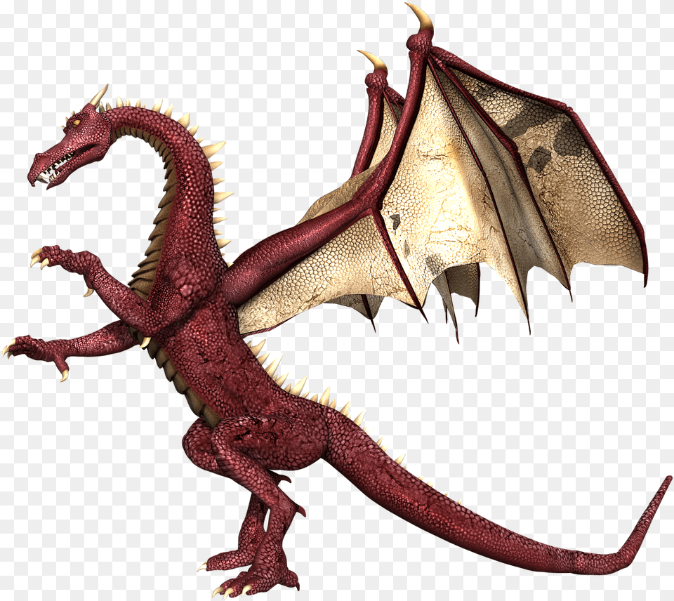 Realistic Dragon White Background, Animal, Dinosaur, Reptile Free Png Download