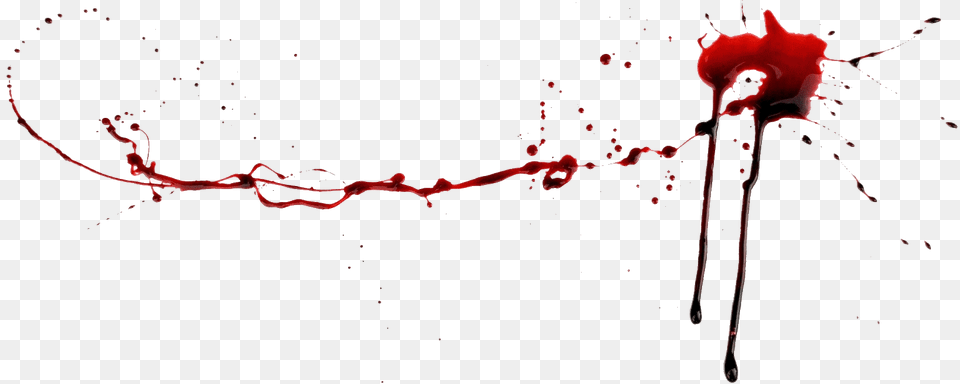 Realistic Dripping Blood Dripping Line Of Zombie Blood High Definition Blood, Flower, Plant, Rose Png