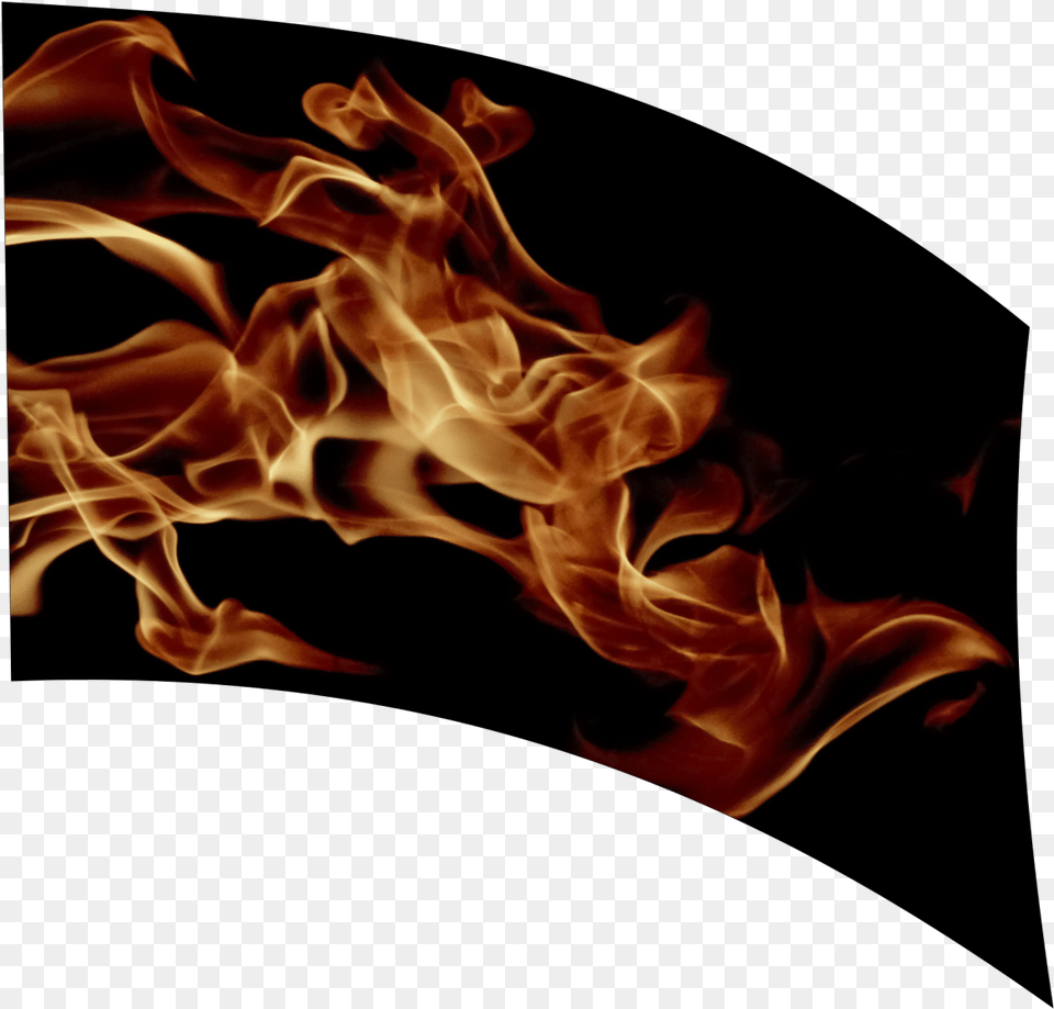 Realistic Fire, Flame, Flower, Plant, Rose Png