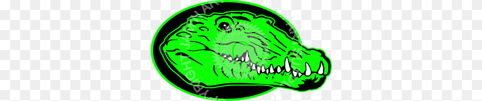 Realistic Gator Head In Color, Animal, Baby, Person, Crocodile Png Image