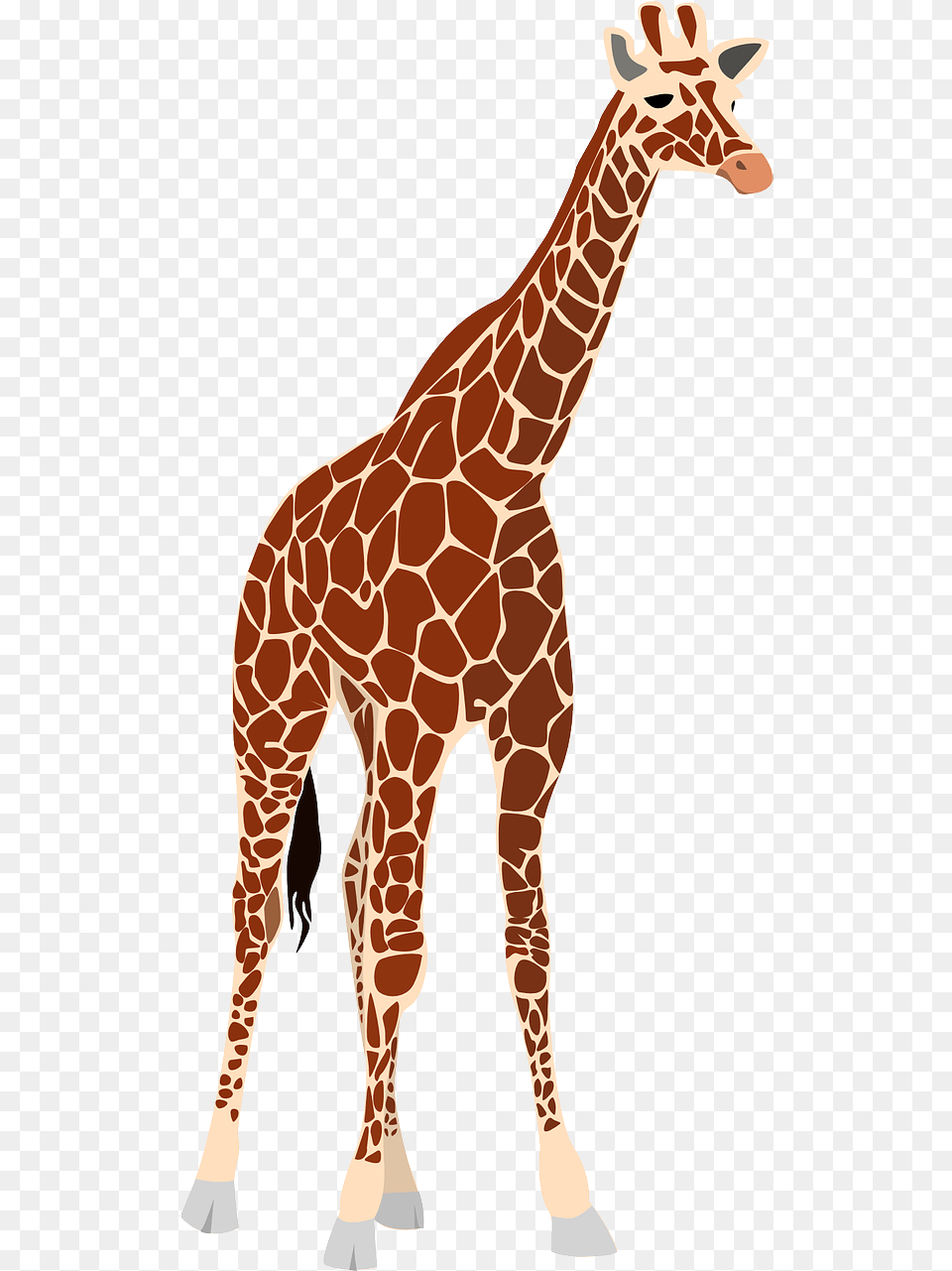 Realistic Giraffe Clipart, Animal, Mammal, Wildlife Png Image