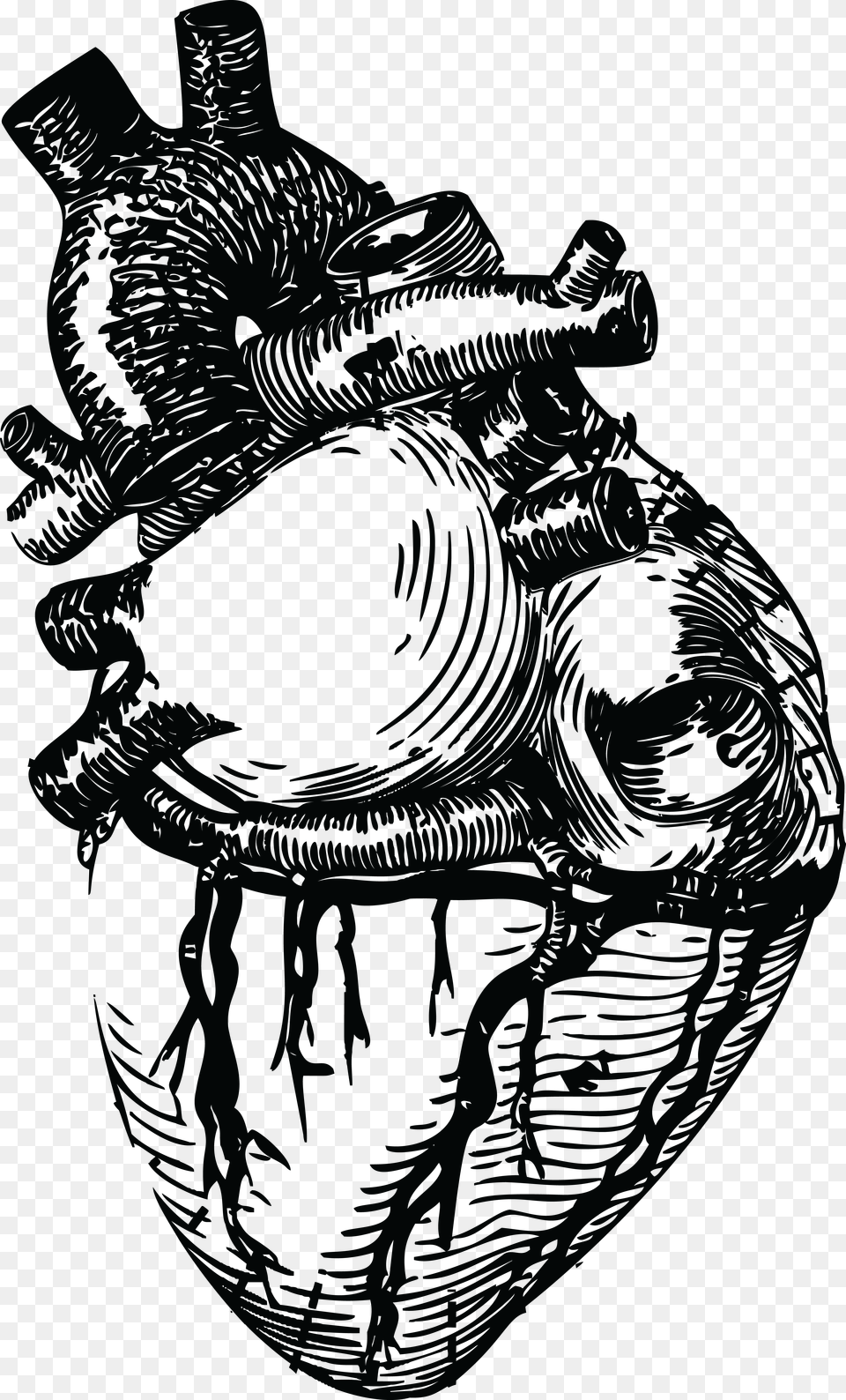 Realistic Heart Line Art Png Image