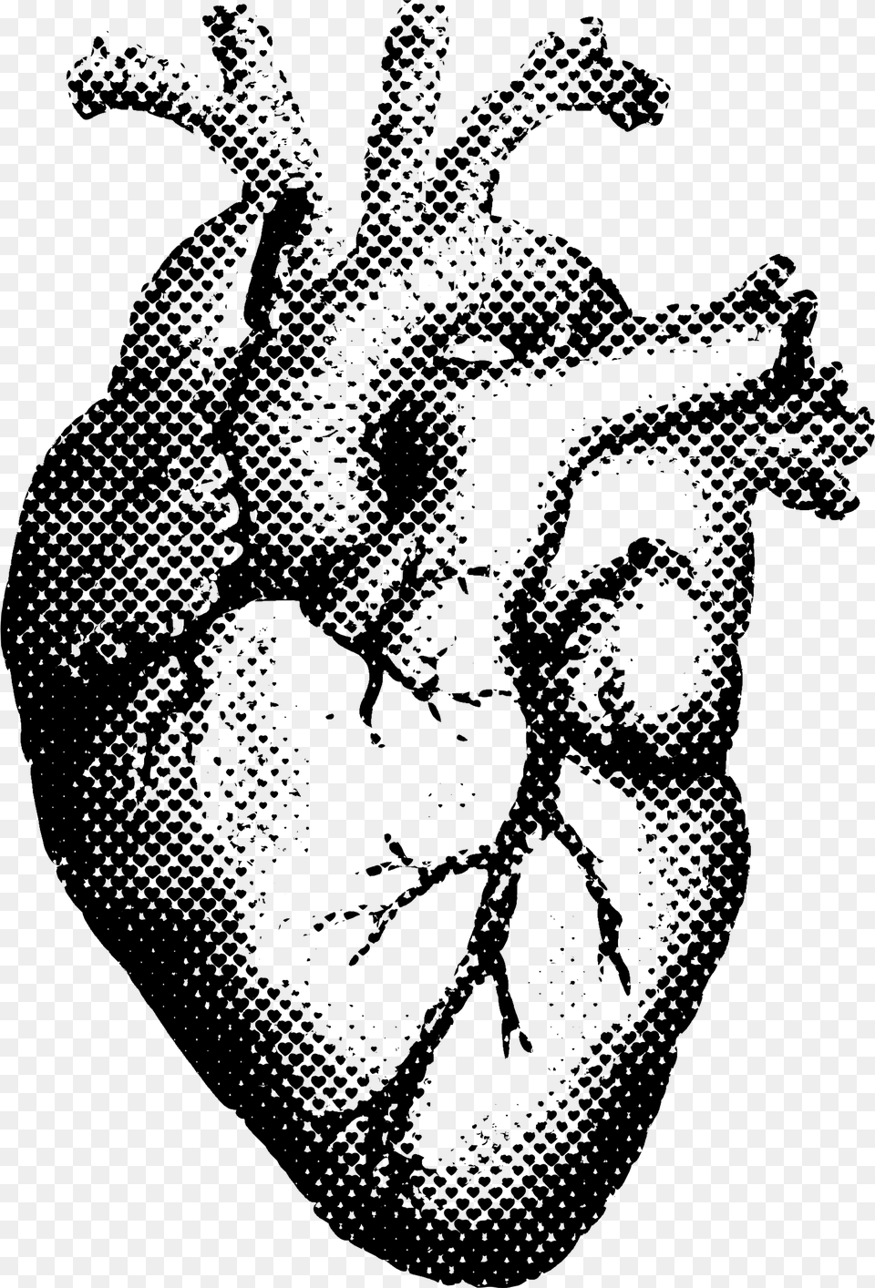 Realistic Heart Pencil Drawing, Gray Free Png Download