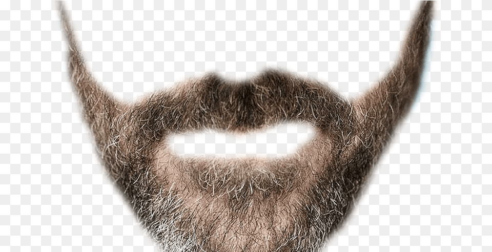 Realistic Mustache Background Background Beard, Face, Head, Person, Adult Png Image