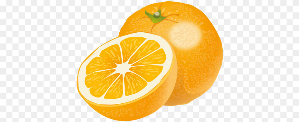 Realistic Orange Transparent U0026 Svg Vector File Naranja, Citrus Fruit, Food, Fruit, Grapefruit Png Image