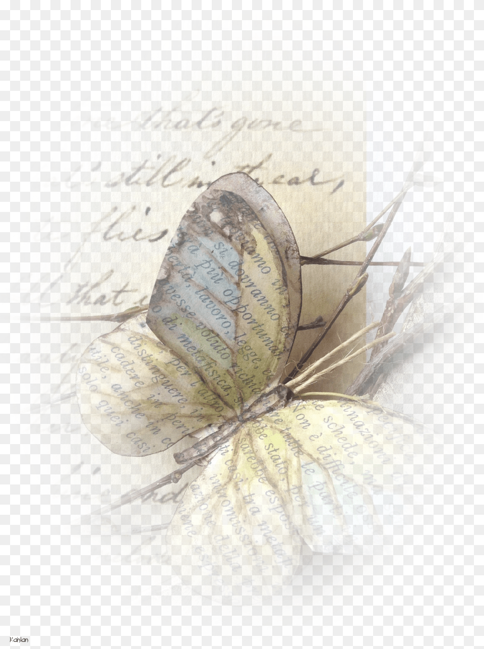 Realistic Paper Butterflies, Text, Handwriting, Accessories, Jewelry Png Image