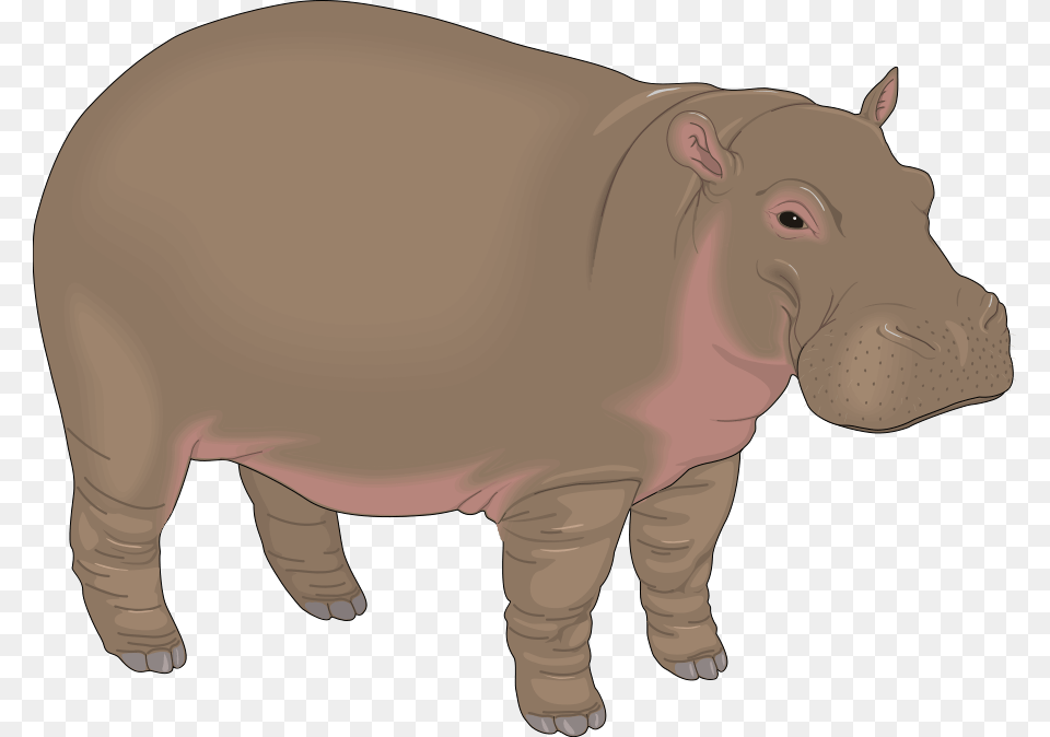 Realistic Sky Cliparts, Animal, Mammal, Hippo, Wildlife Free Png Download
