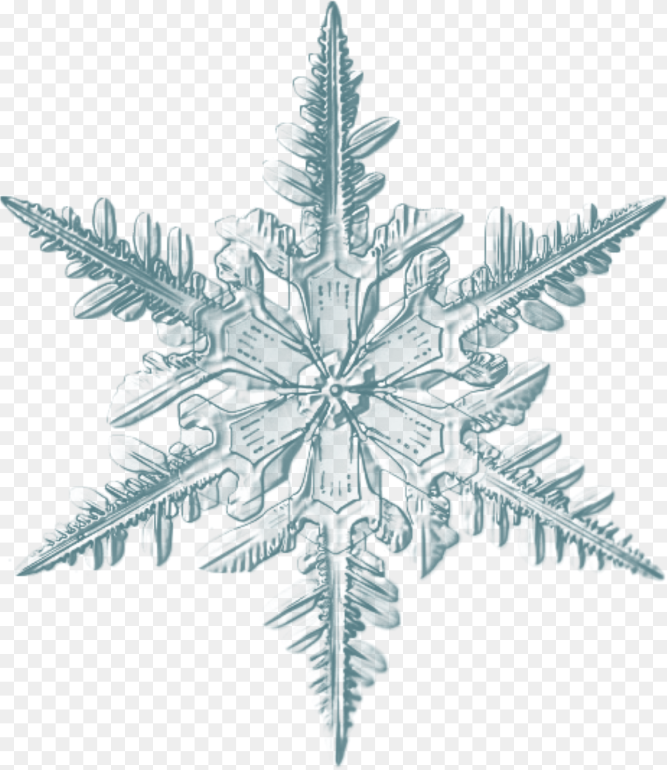 Realistic Snowflake, Leaf, Nature, Outdoors, Plant Free Png Download