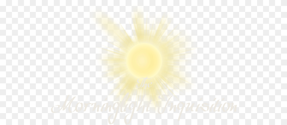 Realistic Sun Drawing, Flower, Petal, Plant, Flare Png