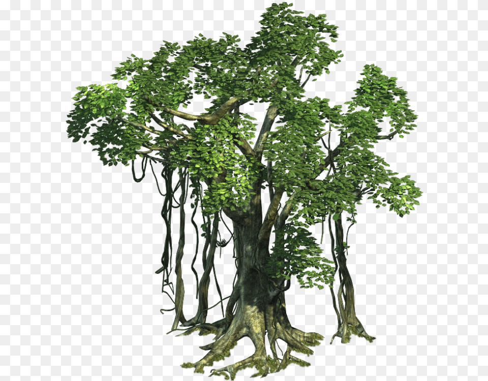 Realistic Tree Free Arts Jungle Tree Transparent, Green, Plant, Potted Plant, Tree Trunk Png Image