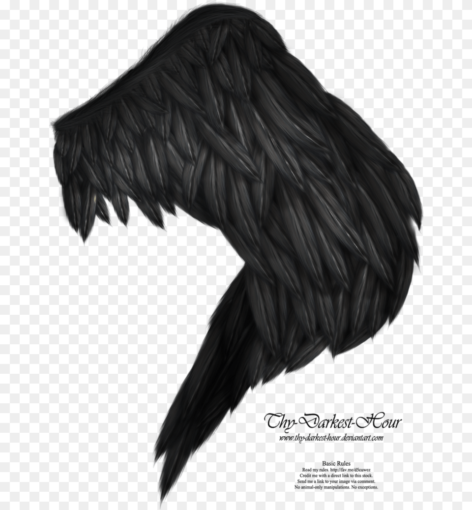 Realistic Wings Transparent Background, Person Png Image