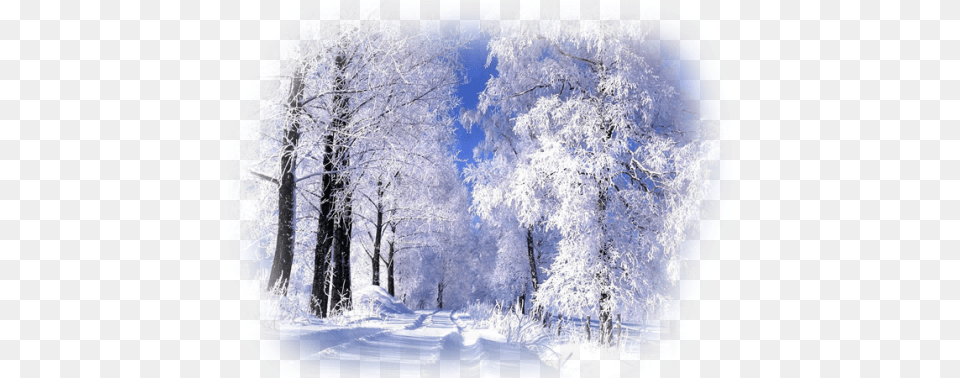 Realistic Winter Landscapes By Evgeniy Karlovich Saskatoon Saskatchewan Winter, Scenery, Ice, Weather, Nature Free Transparent Png