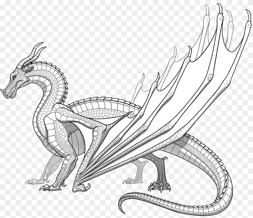 Realisticn Coloring Pages Skywings In, Dragon, Adult, Bride, Female Free Transparent Png