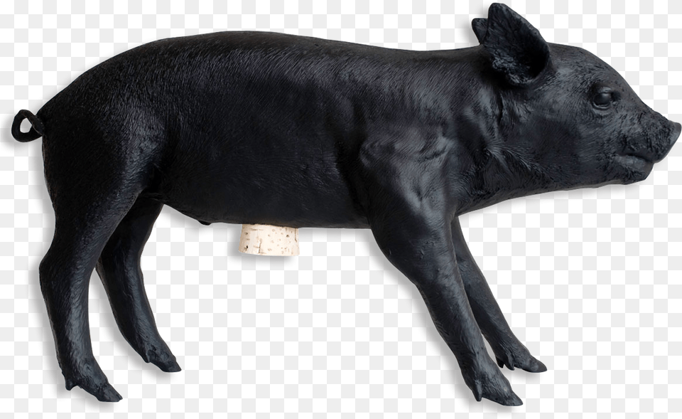 Reality Bank In The Form Of A Pig By Areaware Matte, Animal, Boar, Hog, Mammal Free Png Download