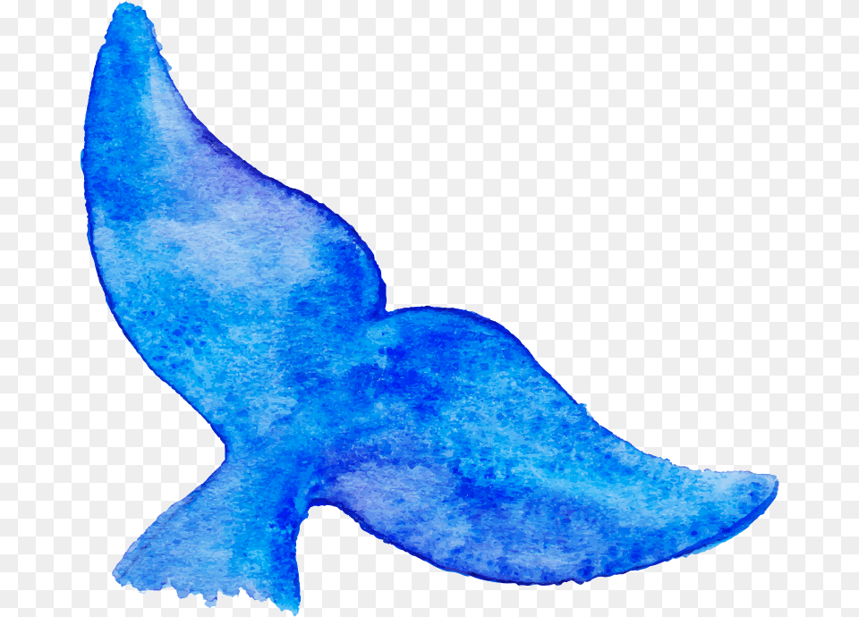 Reality Check Whale Tail Drawing, Aquatic, Water, Animal, Sea Life Png Image
