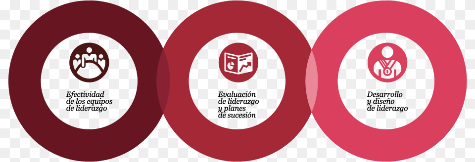 Realizamos Proyectos Enfocados A Circle, Disk, Frisbee, Toy Free Png