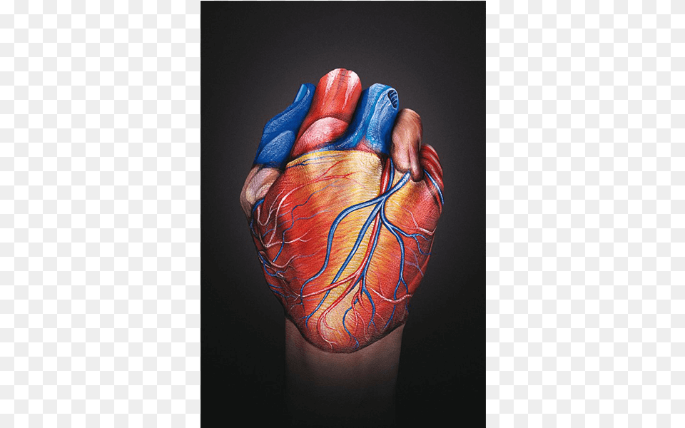 Realize You Have A Heart And You39ll Live From The Heart Guido Daniele, Body Part, Hand, Person, Skin Free Png Download