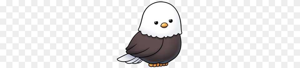 Really Cute Graphics Paper Anime Kiawaii Birds, Animal, Beak, Bird, Eagle Png