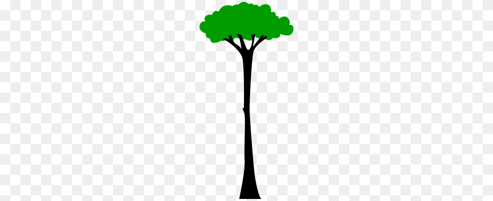 Really Tall Tree, Green, Plant, Potted Plant, Light Png