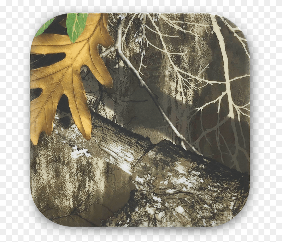 Realtree Qi Charger Top View Maple, Leaf, Plant, Tree, Vegetation Free Png Download