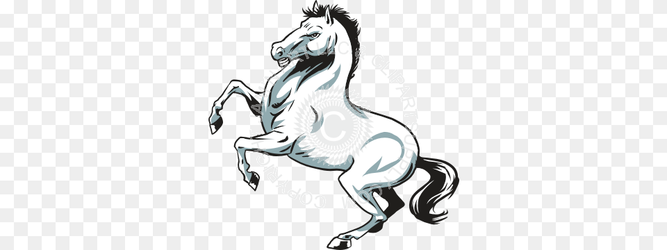 Rearing Stallion Horse, Animal, Mammal Free Transparent Png