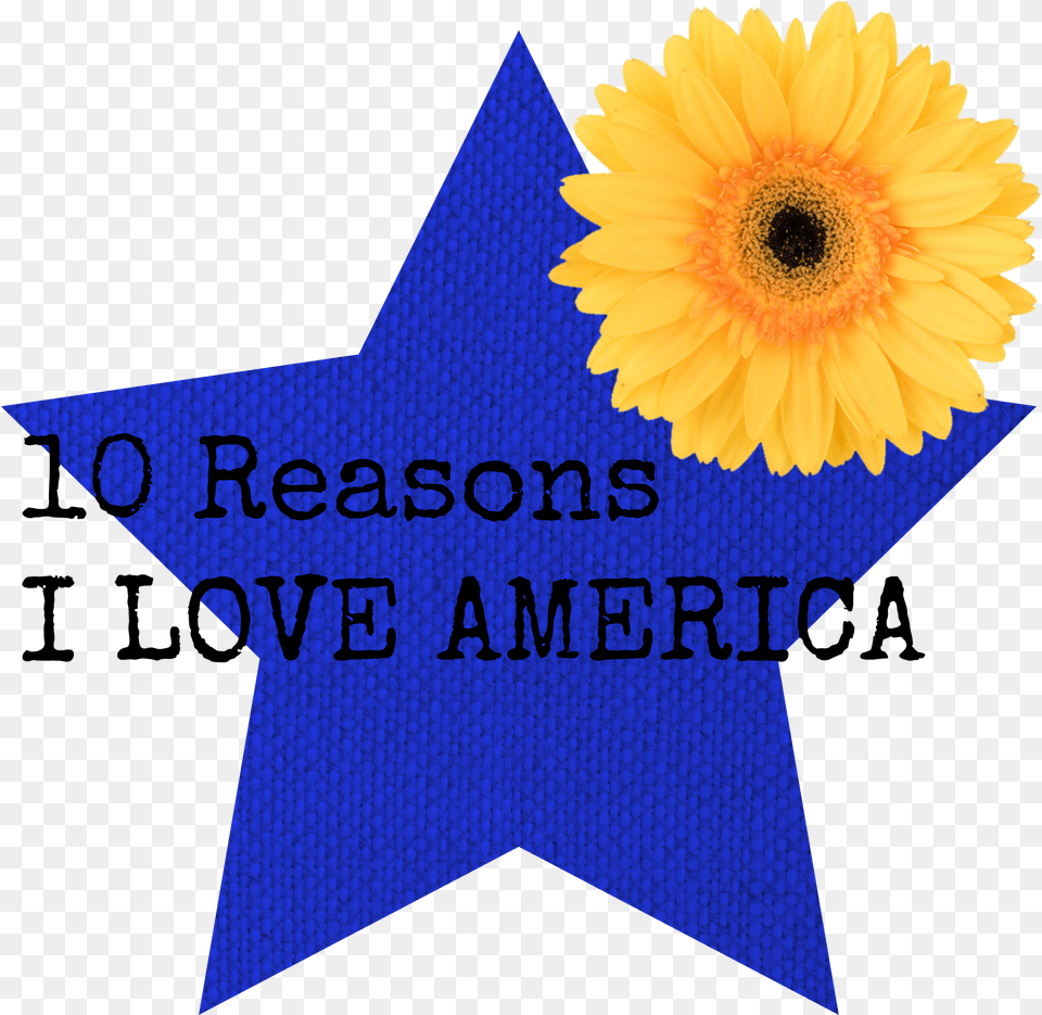 Reasons American Staffordshire Terrier, Flower, Plant, Sunflower, Symbol Free Transparent Png