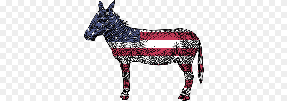 Reasons To Vote For Democrats Photo Background Transparent Transparent Background Democrat, Animal, Mammal Png