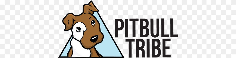 Reasons Why Pitbulls Are So Popular Fitbit Charge 4 Unboxing, Face, Head, Person, Animal Png