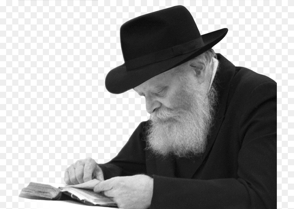 Rebbe Learning Torah, Beard, Clothing, Face, Hat Free Png