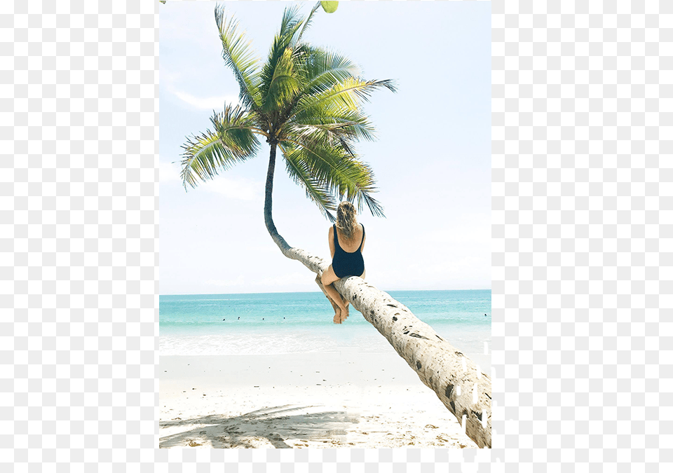 Rebekah Viola About Img3 Vacation, Sea, Plant, Shoreline, Palm Tree Free Transparent Png