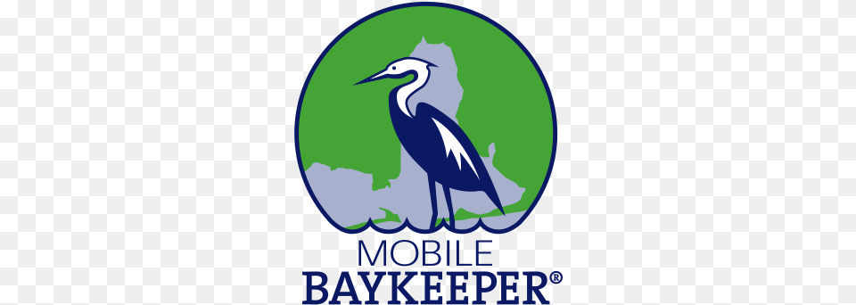 Recap Of Our First Apple Snail Roundup The Year U2014 Mobile Mobile Baykeeper Logo, Animal, Bird, Waterfowl, Crane Bird Png Image