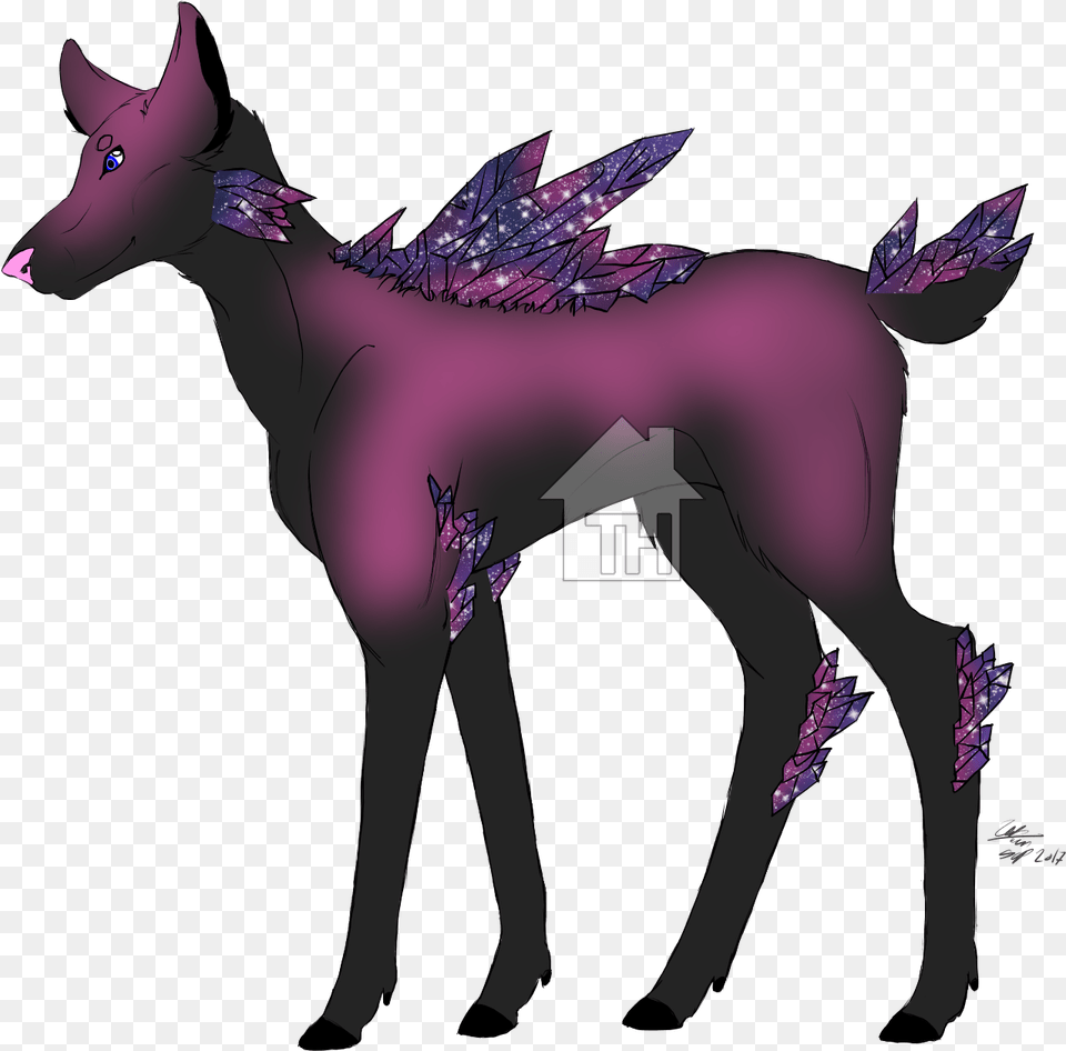 Recent Images Foal, Purple, Person, Animal, Mammal Free Transparent Png