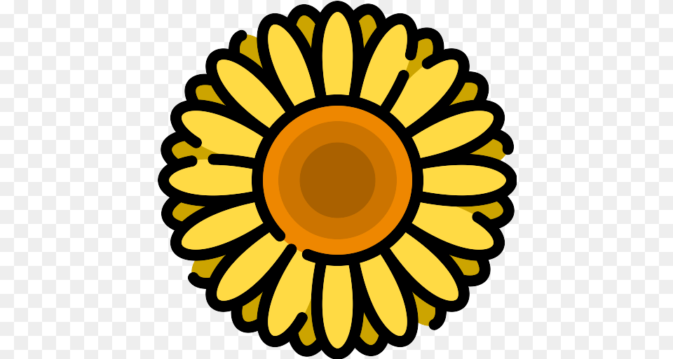 Recent Sunflower Icons And Graphics Repo Daisy Flower Drawing For Kids, Plant, Petal Free Transparent Png