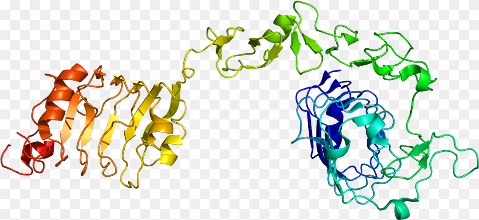 Receptor Insulinu Slinog Faktora Rasta 1 Vikipedia Insulin Like Growth Factor, Art, Graphics, Light, Neon Png