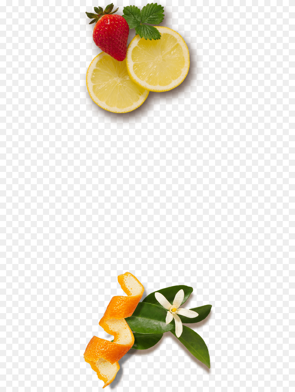 Recipes Citrus, Citrus Fruit, Food, Fruit, Plant Png