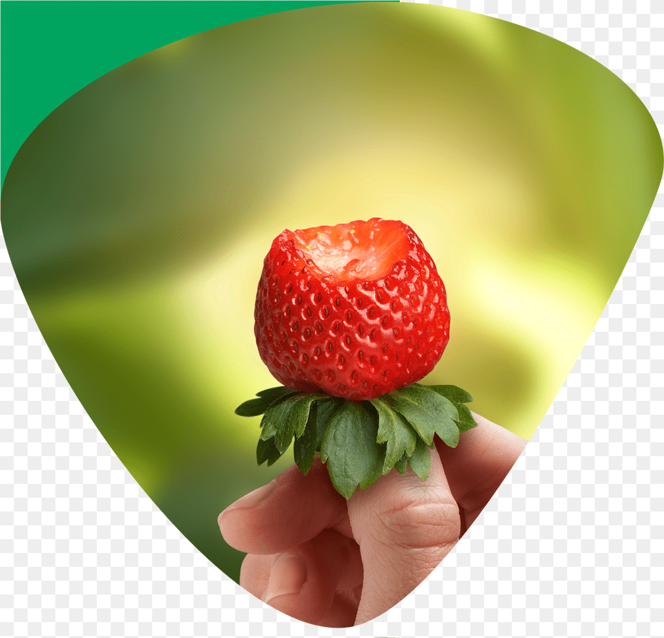Recipes Strawberry, Berry, Produce, Plant, Fruit Png Image