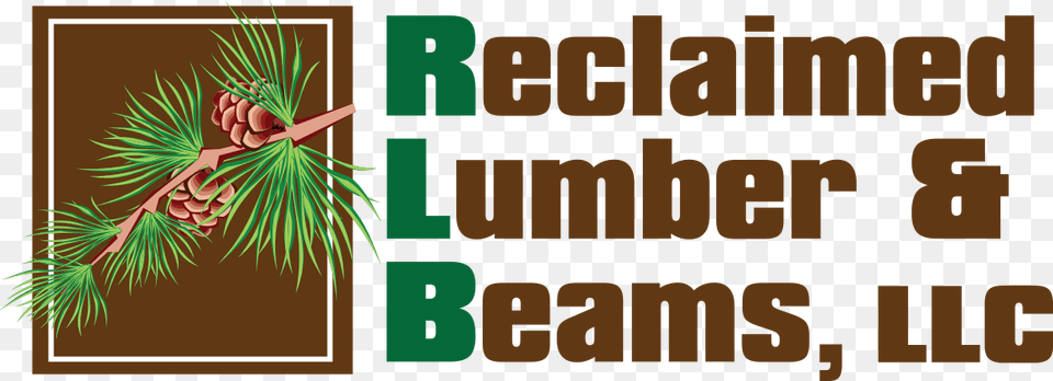 Reclaimed Lumber Amp Beams Logo Reclaimed Lumber, Conifer, Plant, Tree, Larch Free Png Download