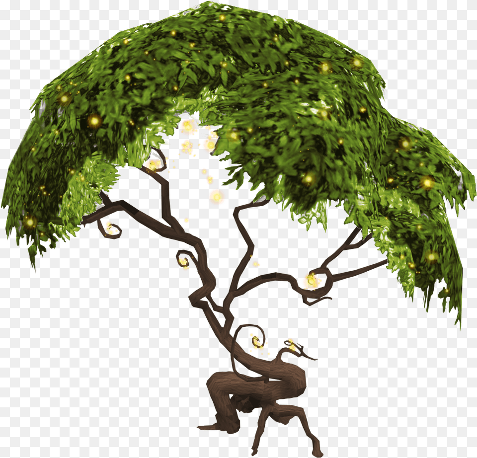 Recolour Magic Trees With Their Old Colour Scheme Runescape Magic Tree, Vegetation, Plant, Person, Adult Free Transparent Png